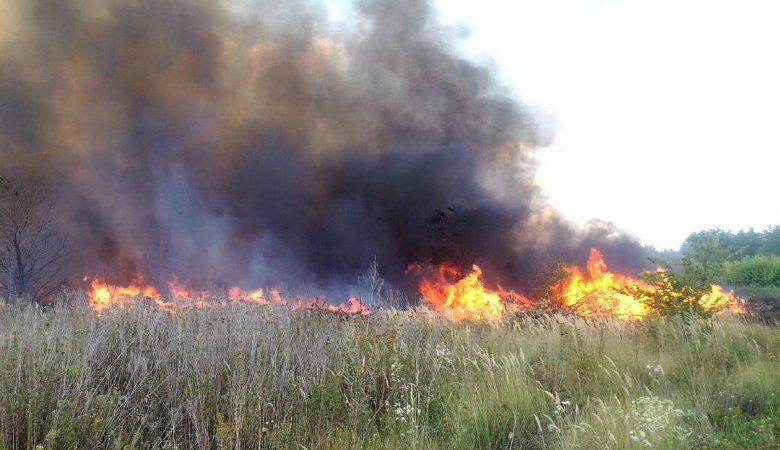 В Харьковской области пенсионерка подожгла сухостой и сама в нем сгорела