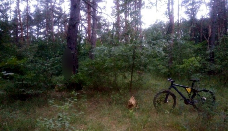 Расследование смерти активиста Николая Бычко в Эсхаре продолжается (видео)