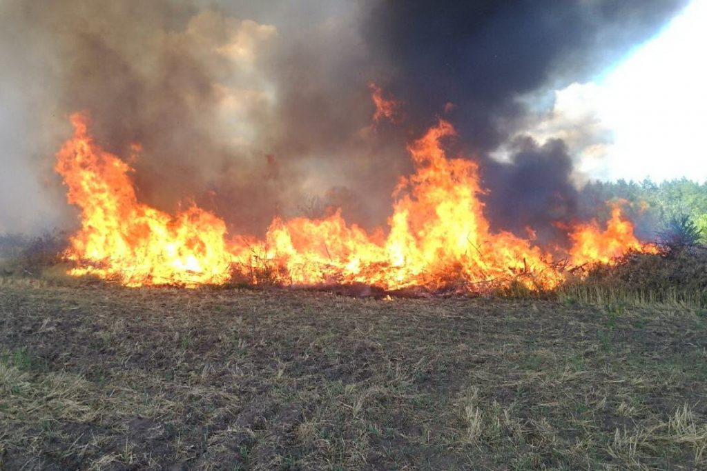 За сутки в Харьковской области произошло 13 пожаров сухой травы