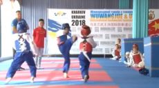 В Харькове проходят совместные украино-китайские сборы спортсменов, выступающих в олимпийской версии тхэквондо (видео)