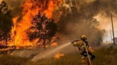 В результате пожаров и ЧП за минувшую неделю погибло пять человек