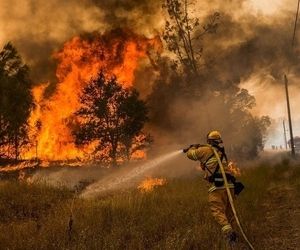 В результате пожаров и ЧП за минувшую неделю погибло пять человек