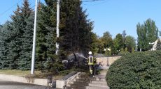 На Клочковской сожгли огромные голубые ели (фото)
