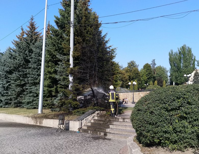 На Клочковской сожгли огромные голубые ели (фото)
