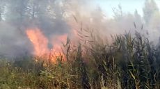 Пожар за «Караваном»: обращение пожарного к поджигателю (видео)