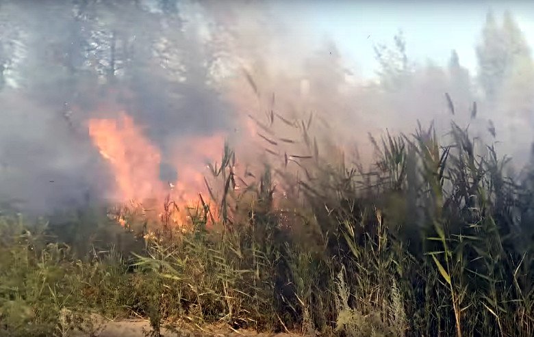 Пожар за «Караваном»: обращение пожарного к поджигателю (видео)