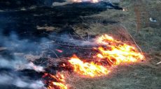 На Харьковщине продолжаются полевые пожары
