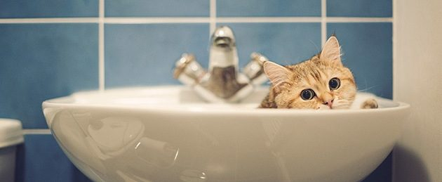 Часть Харькова сегодня осталась без воды (адреса)