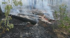Харьковщина в огне: за сутки сгорело более 22 га