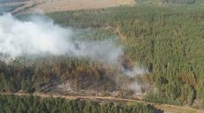 Под Харьковом двое суток тушили масштабный лесной пожар (фото)