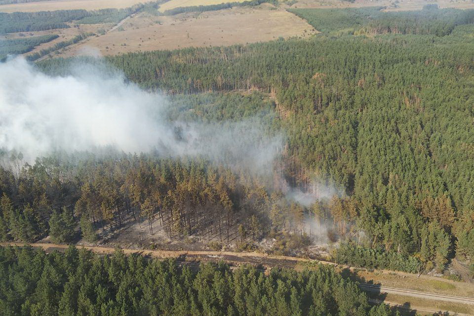 Под Харьковом двое суток тушили масштабный лесной пожар (фото)