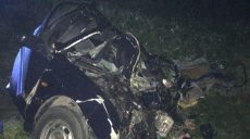 ДТП во Львовской области: один погибший, около 20 травмированы (фото)
