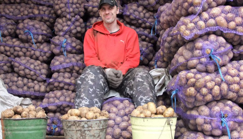 Цены на продукты будут повышаться — прогноз специалистов