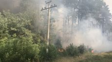 В Украине сохраняется чрезвычайный уровень пожарной опасности