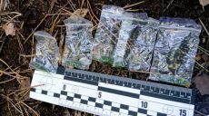 На Новой Баварии патрульные задержали мужчину с ассортиментом наркотиков