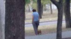 В Харькове женщина натравливает собаку на котов