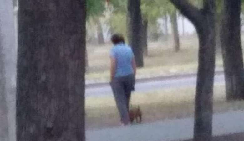 В Харькове женщина натравливает собаку на котов