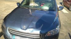На Бучмы Peugeot 301 сбил пешехода (фото)