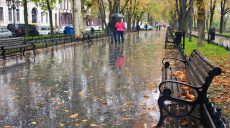 На смену рекордной жаре пришло резкое похолодание. Синоптики рассказали, когда ждать бабьего лета (видео)