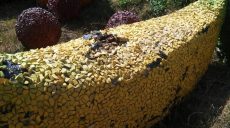 На перекрестке улиц Клочковской и Космической повредили декоративную композицию