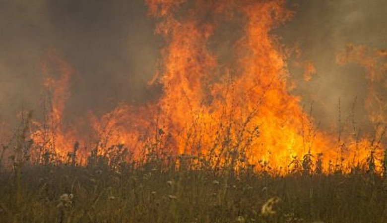 Поджог сухостоя: сгорели десять зданий и гараж