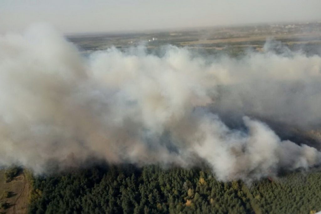 На Харьковщине на территории Красноградского лесхоза возник новый пожар