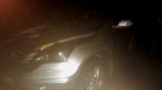 На Людвига Свободы сгорели припаркованные у многоэтажки автомобили (фото)