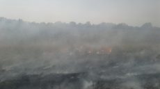 Продолжается ликвидация очагов масштабного лесного пожара на Харьковщине