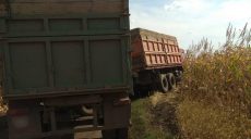 Скутер попал под грузовик: два человека погибли на месте аварии