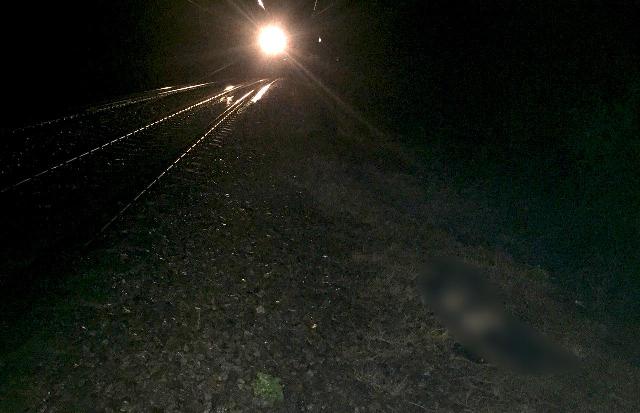 На Харьковщине поезд насмерть сбил пожилого человека (фото)