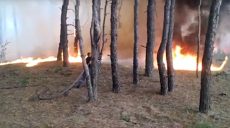 ГСЧС опубликовала видео с места тушения лесного пожара