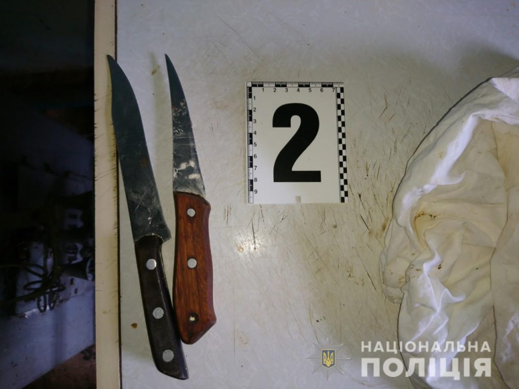 Под Харьковом женщина ударила ножом сожителя (фото)
