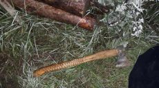 Полиция задержала пожилого мужчину, пытавшегося зарубить топором и зарезать ножом двух женщин
