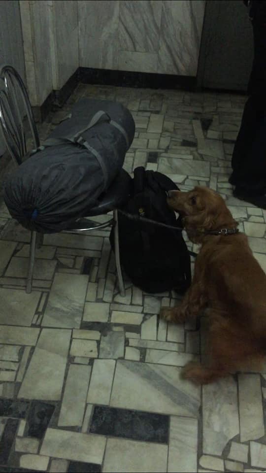 В Харькове на железнодорожном вокзале служебная собака нашла у мужчины четыре вида наркотиков (фото)