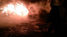 Во время пожаров в Харьковской области за неделю погибло четыре человека