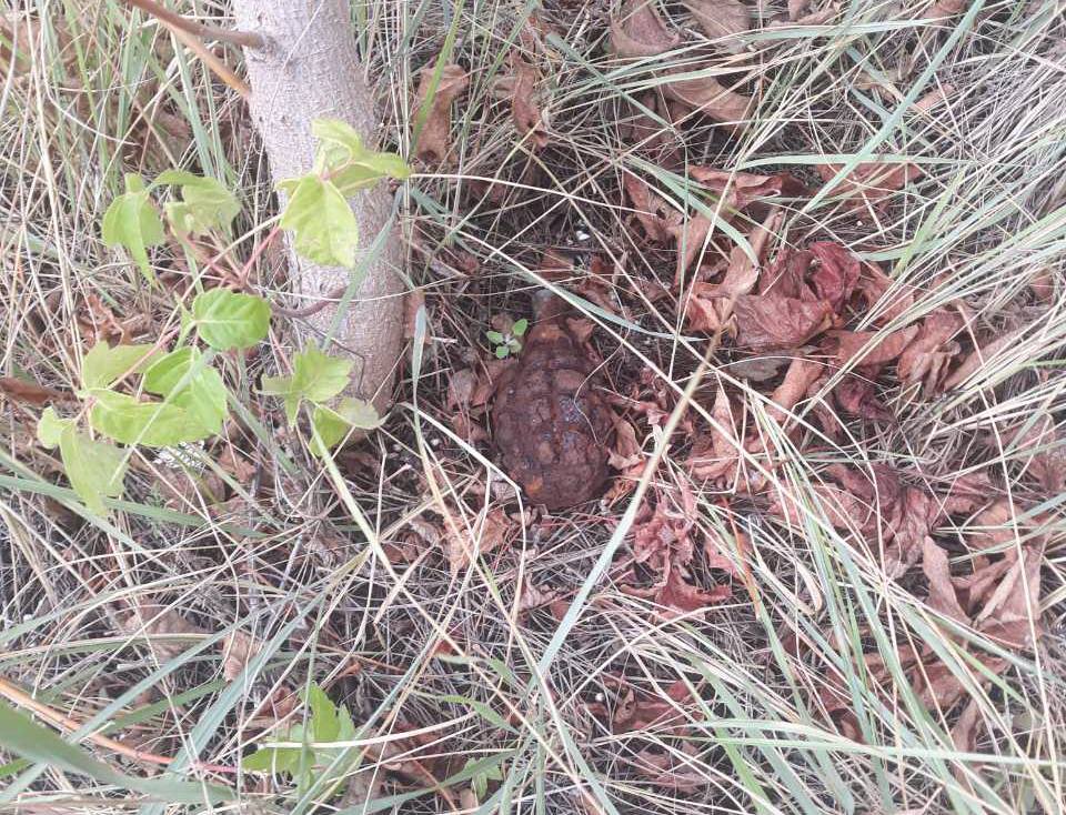 В колонии под Харьковом нашли гранату (фото)