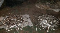 Под Харьковом браконьер выловил рыбы больше чем на 80 тысяч гривен
