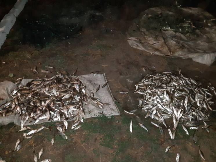 Под Харьковом браконьер выловил рыбы больше чем на 80 тысяч гривен