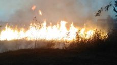 За сутки в природных экосистемах Харьковской области ликвидировали 21 пожар