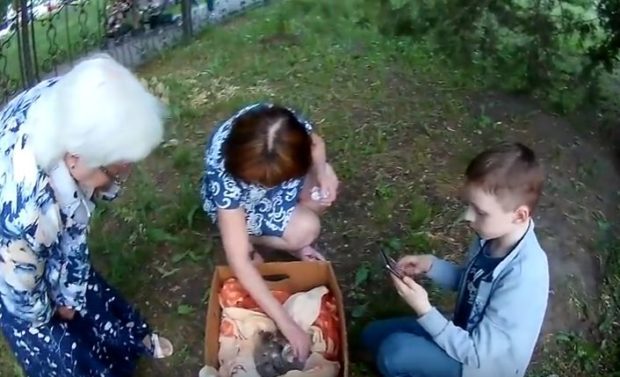 В Харькове 10-летний мальчик спас котят (видео)