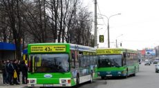 43-й автобус частично изменит маршрут движения