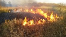За сутки на Харьковщине из-за горения сухостоя произошло 11 пожаров