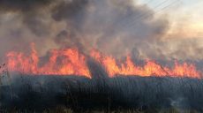 Жара не прошла даром: по всей области были пожары в экосистемах