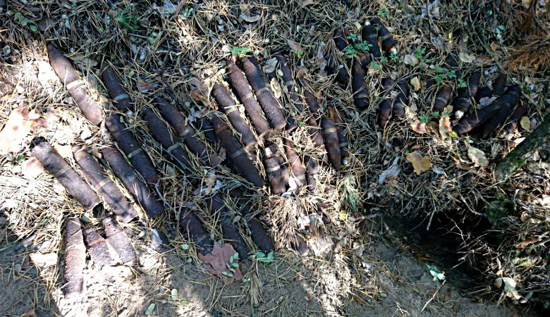 В четырех районах Харьковщины местные жители в лесу нашли мины