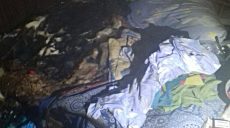 Пожарные спасли пенсионера: он спал на горящем диване