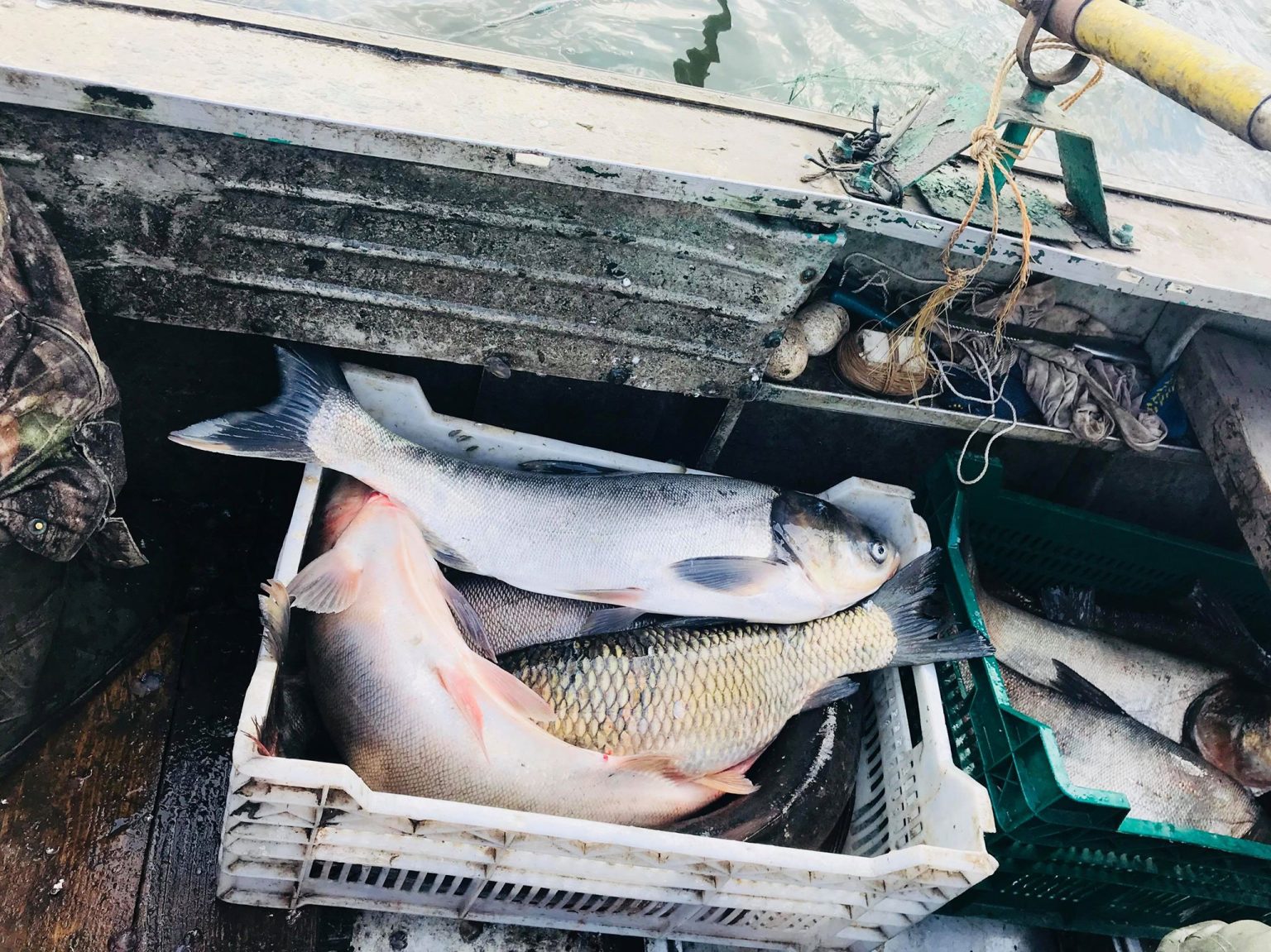 На Берекському водосховищі рибоохоронний патруль перевіряє підприємства, що здійснюють промисловий вилов риби (відео)