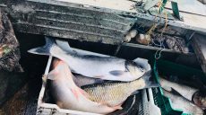 На Берекському водосховищі рибоохоронний патруль перевіряє підприємства, що здійснюють промисловий вилов риби (відео)