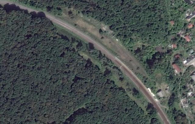 В лесу под Харьковом нашли тело неизвестного мужчины