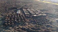 Под Чугуевым на территории частного домовладения найден колоссальный арсенал (фото)