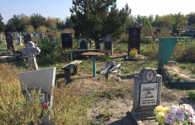 На Харьковщине 10-летние дети, развлекаясь, надругались над могилой (фото)
